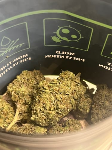 Gelato Kush - Bulk - Indica photo review