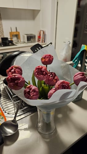 Customer photo review of Plum real touch tulips