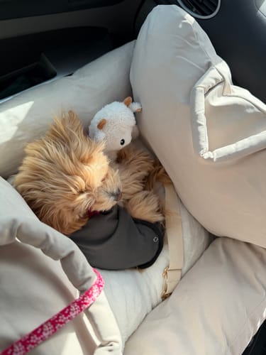 Customer photo review of Marshmallow | The Puffer Car Seat