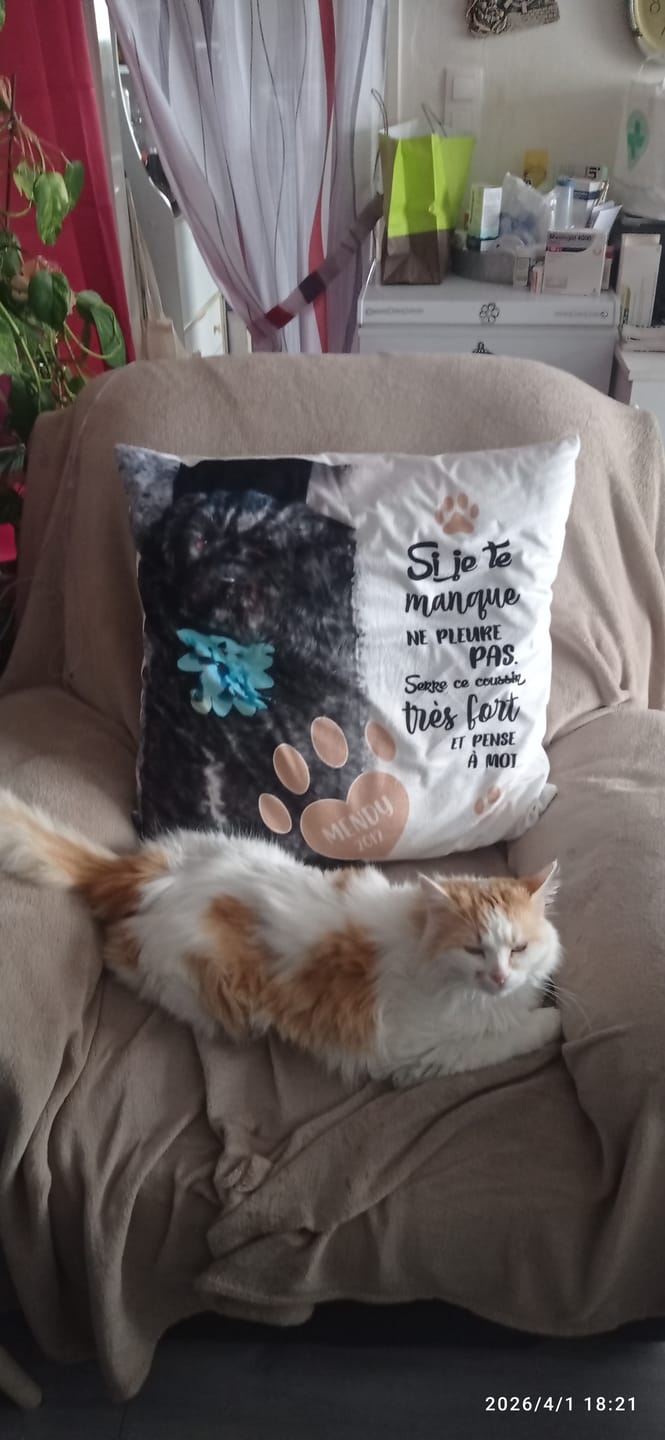 Customer photo review of Si je te manque - Coussin personnalisé