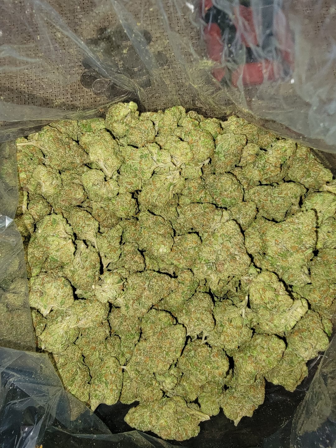 Customer photo review of Candy Fumes Light Assist THCA