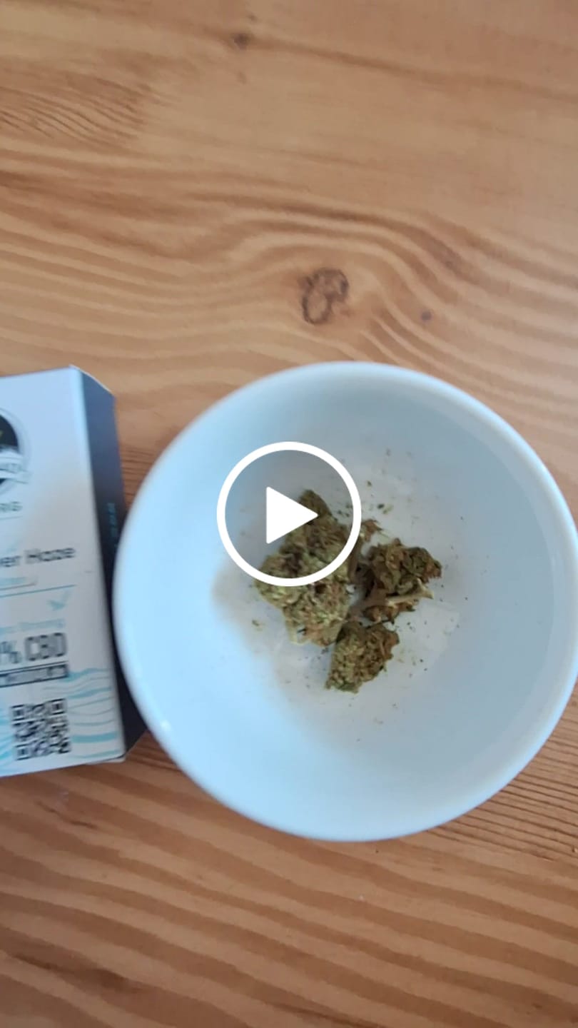 Customer video review of Super Silver Haze Extra Strong 60% - CBD Blüten - Indoor - Unsere stärkste Sorte
