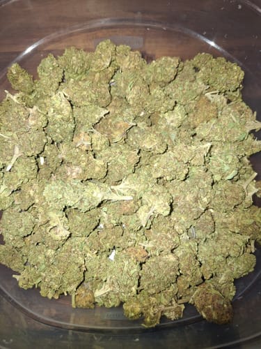 Customer photo review of Cheap THCA Smalls Quarter Pound