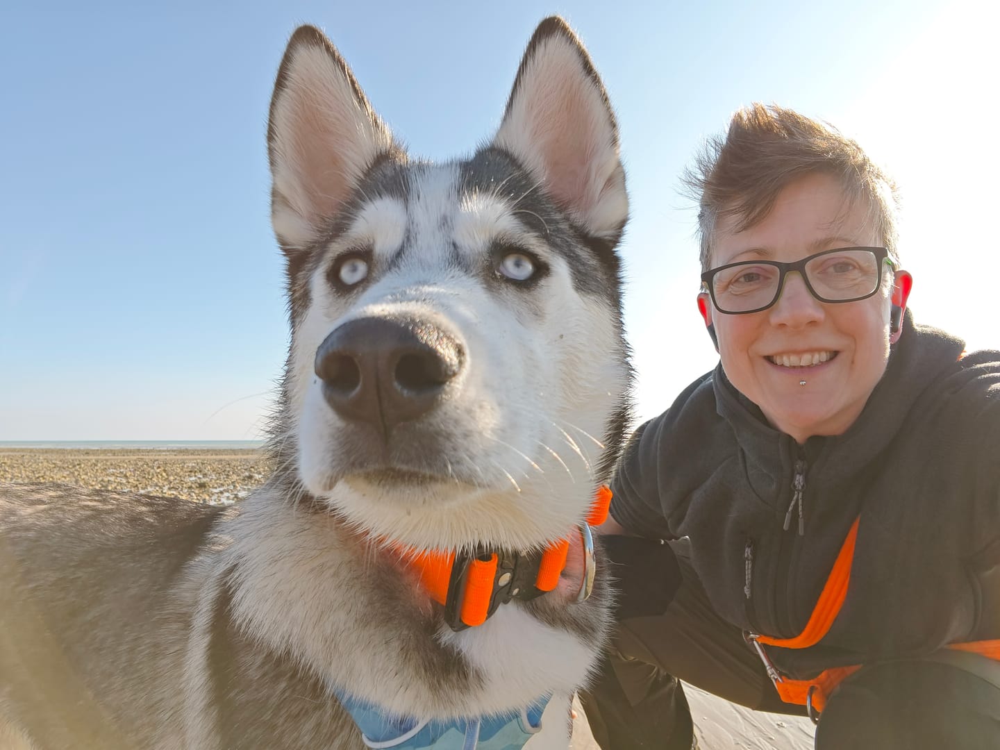Customer photo review of 4cm Combat® Collar | Handle & Rated Clip - Orange