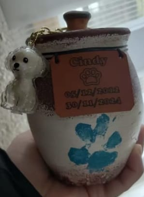 Customer photo review of Llavero Recuerdo Mascota