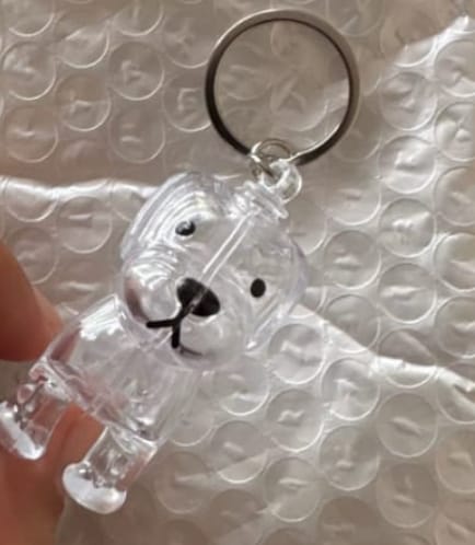 Customer photo review of Llavero Recuerdo Mascota