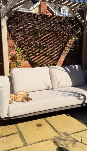 Customer photo review of ZOYA 4-Seater Lounging Set with Coffee Table