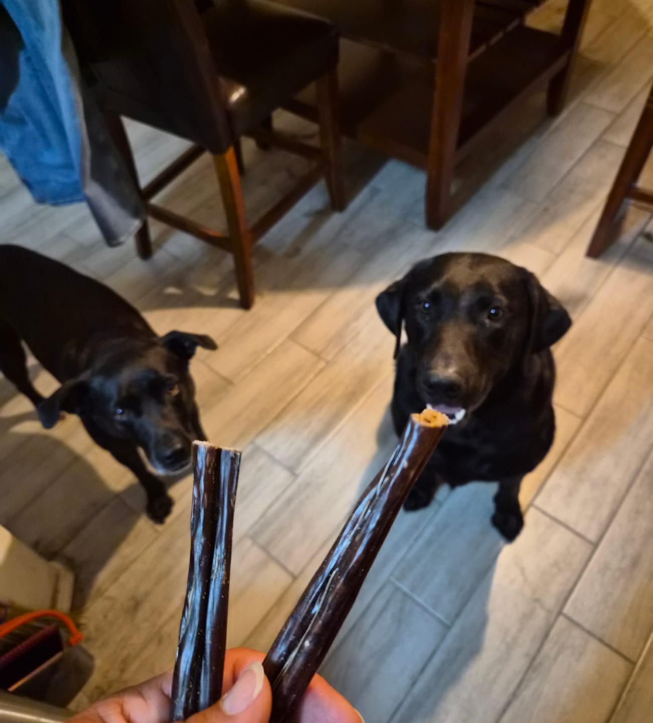 Customer photo review of 6 Inch Gullet Sticks