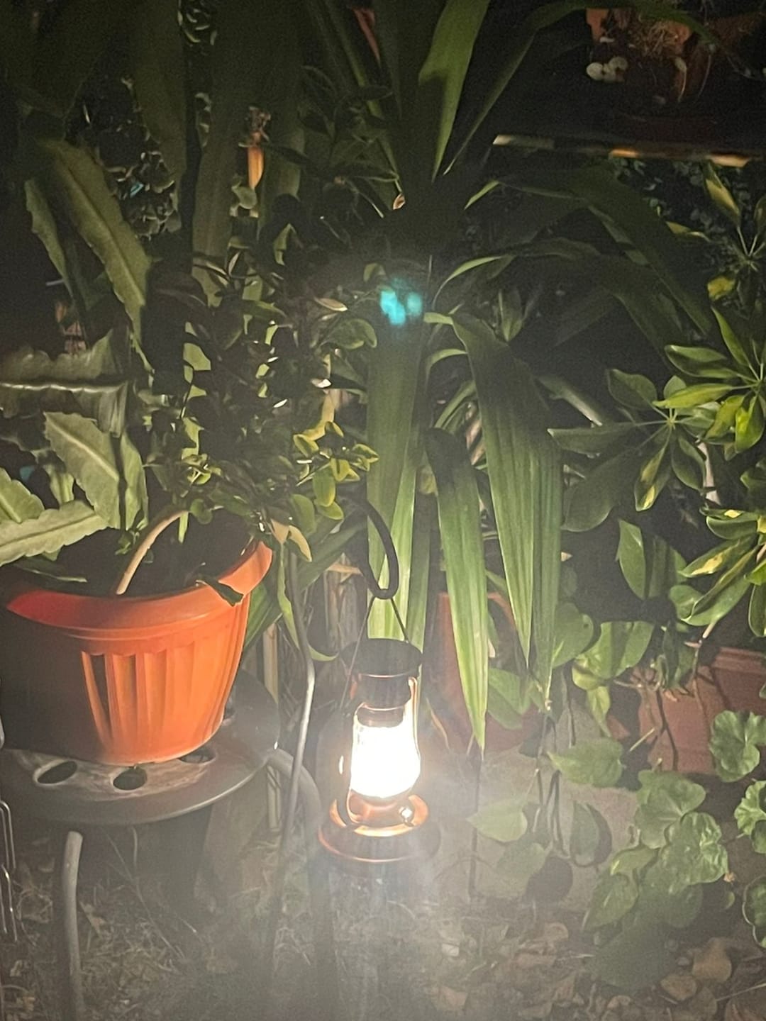 Customer photo review of Lámpara Dinamo Solar - Luz Cálida / USB / IP65