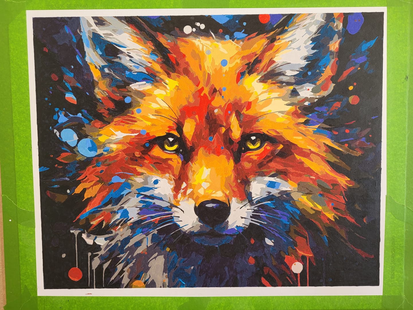 Customer photo review of Inquisitive Fox