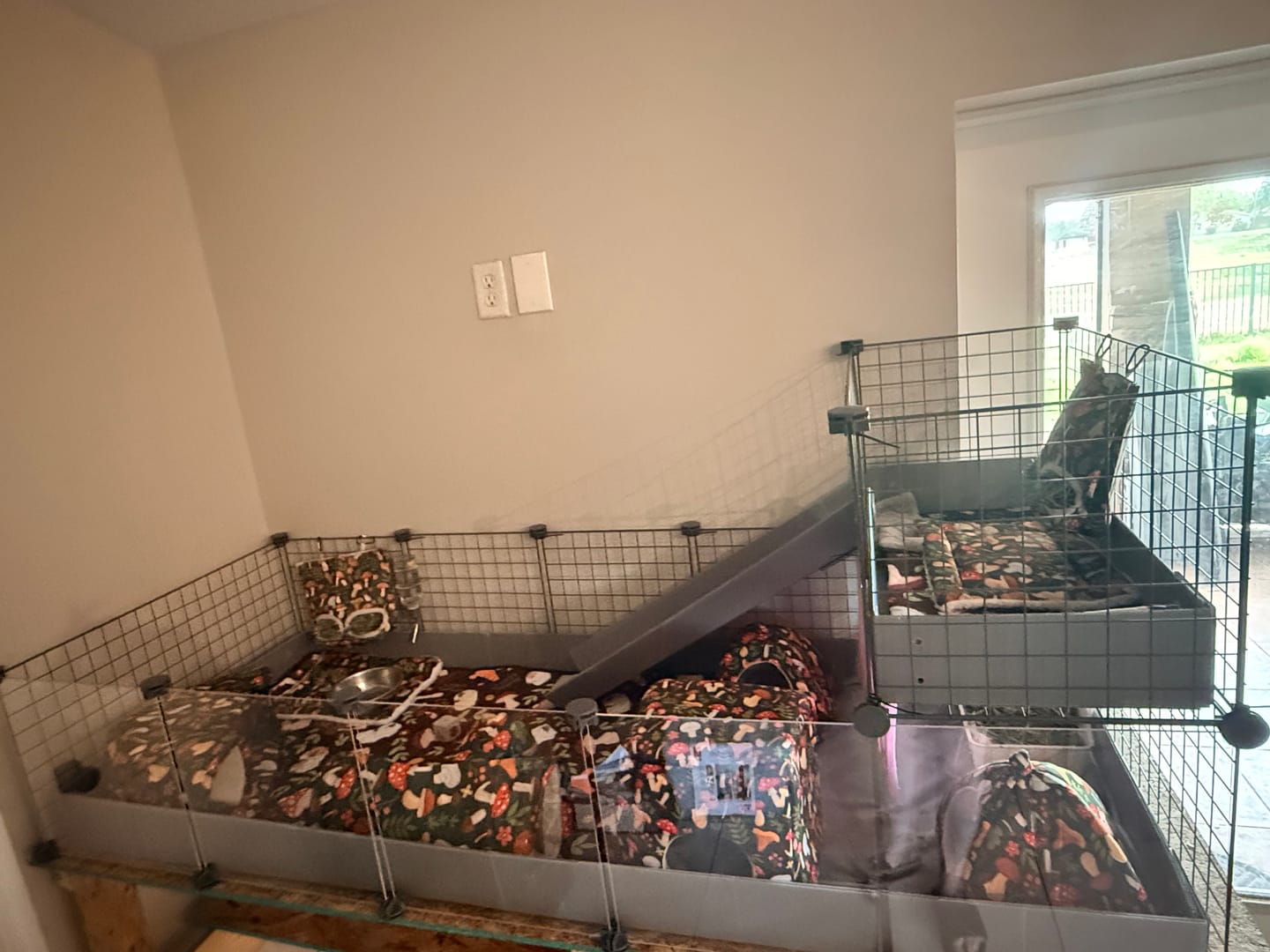 Customer photo review of GuineaDad Piggy Condo Guinea Pig Cage with Balcony & Ramp (C&C)