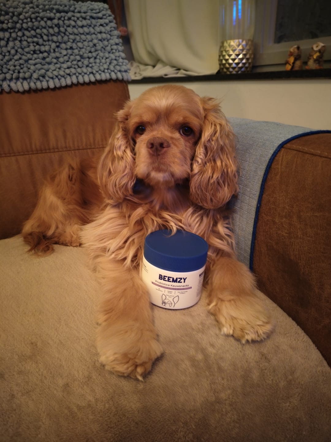 Customer photo review of Probiotica voor Honden – Spijsverterings- en Darmgezondheid