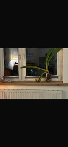 Customer photo review of Aufsatzfensterbank Eiche