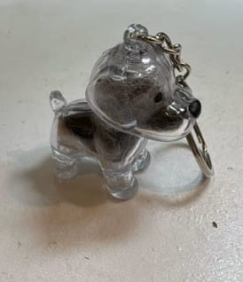 Customer photo review of Llavero Recuerdo Mascota