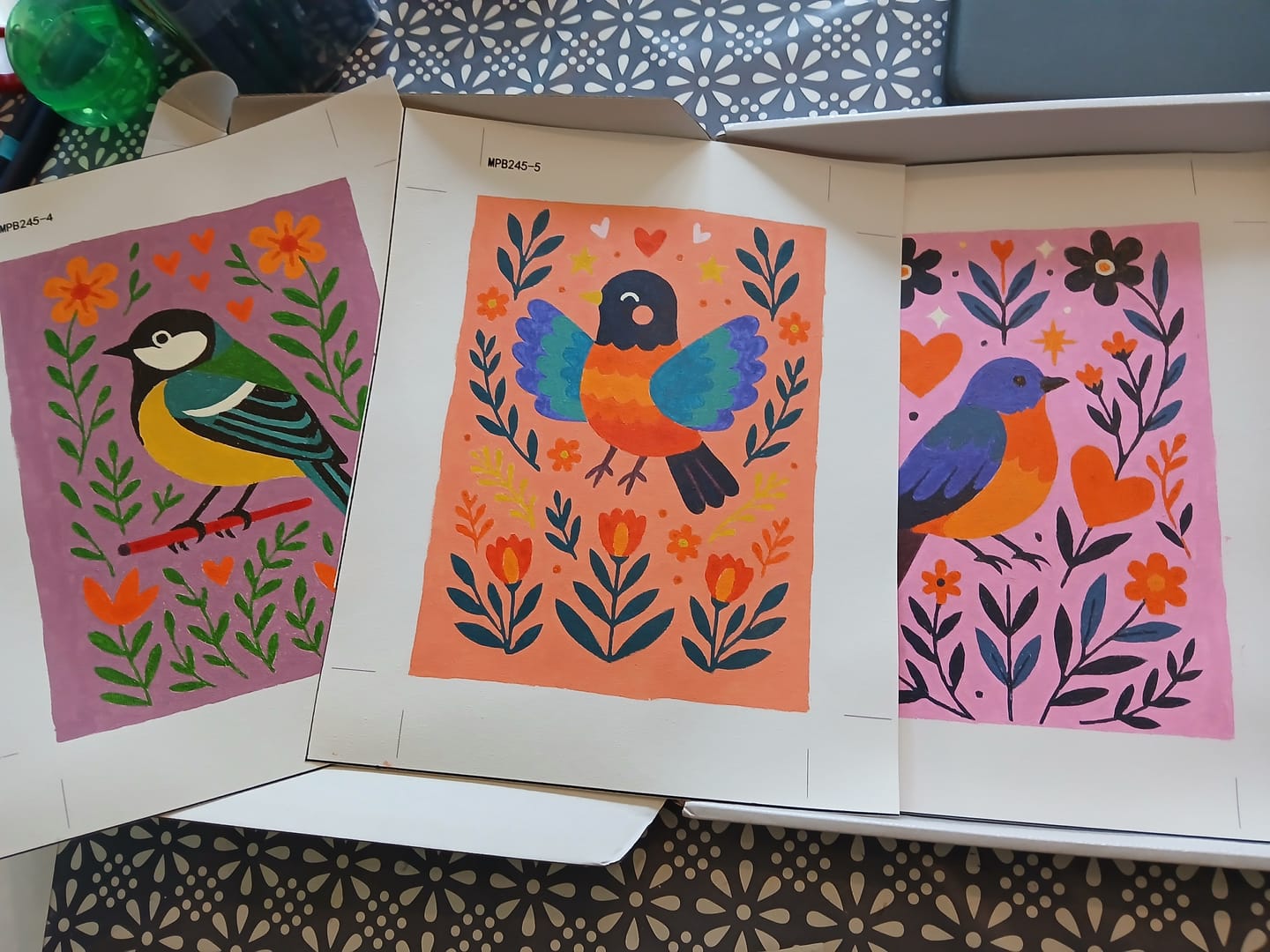 Customer photo review of 6 Mini Paintings - Colorful Birds Set