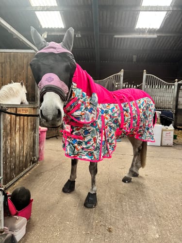 Customer photo review of Pretty Polly Fly Rug