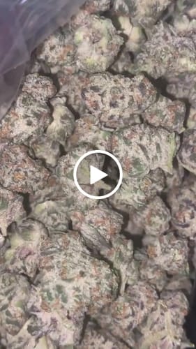 Customer video review of Bulk Indoor THCA Smalls