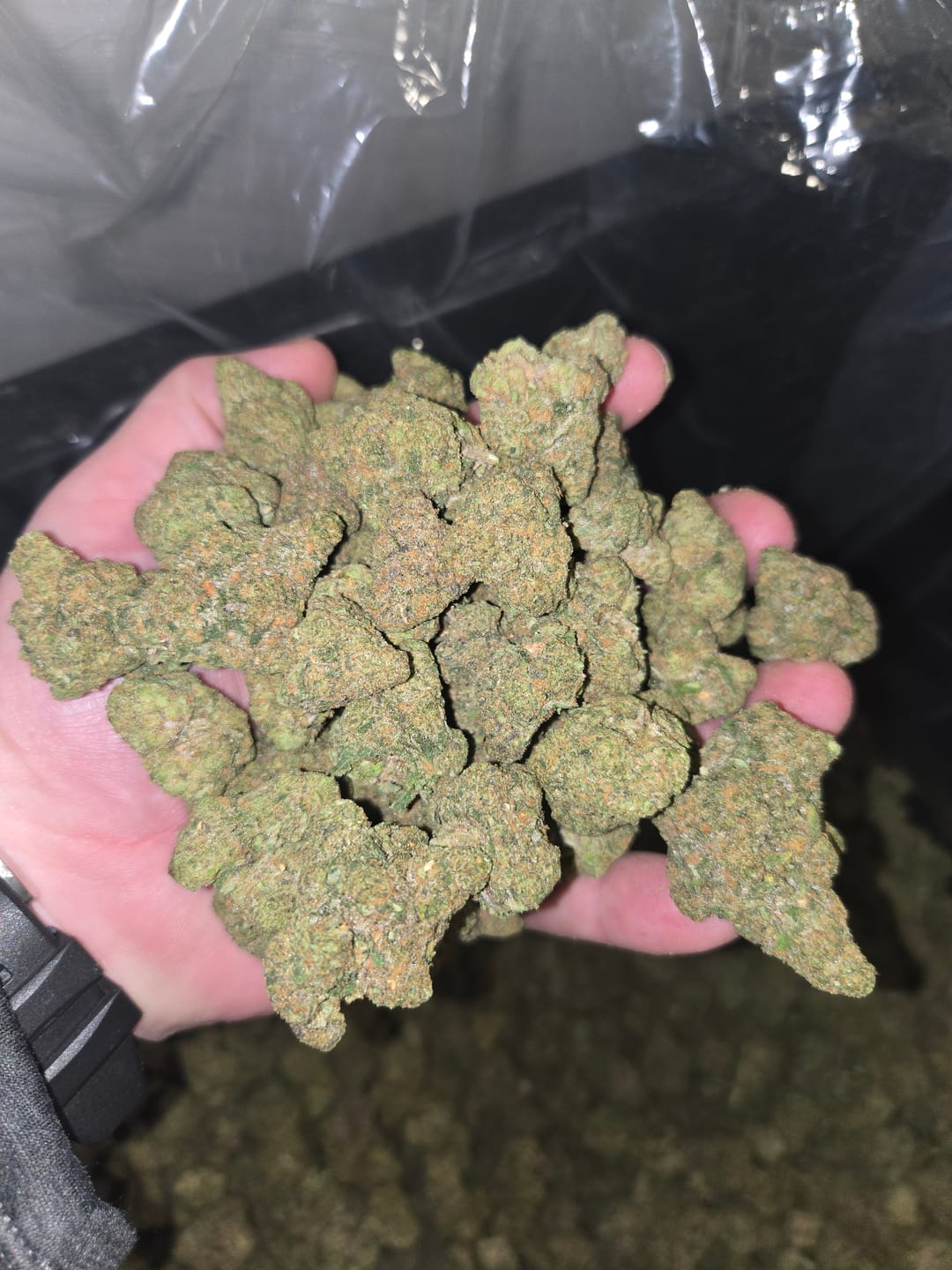 Customer photo review of Endzyme Pods