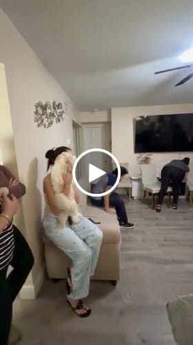 Customer video review of 2ª versión ofrecida - Nueva voz o estilo sin coste adicional