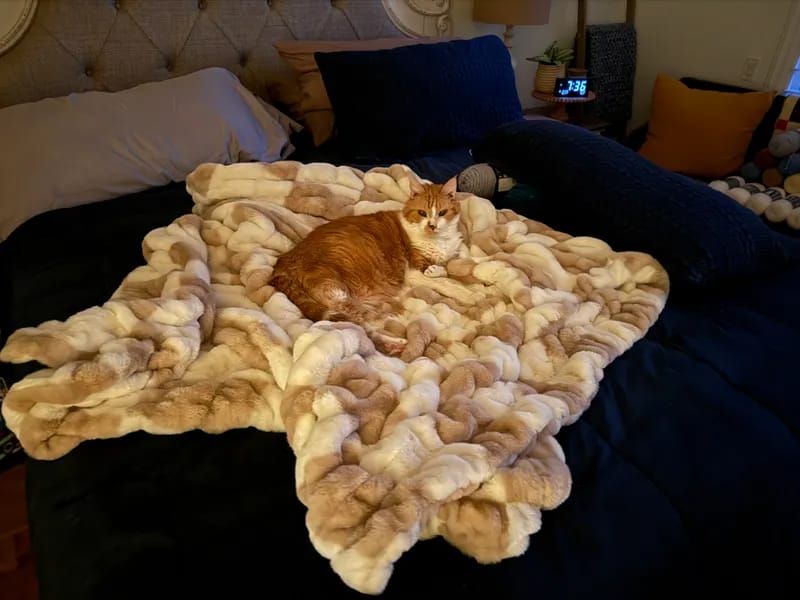 Customer photo review of Cloud Blanket