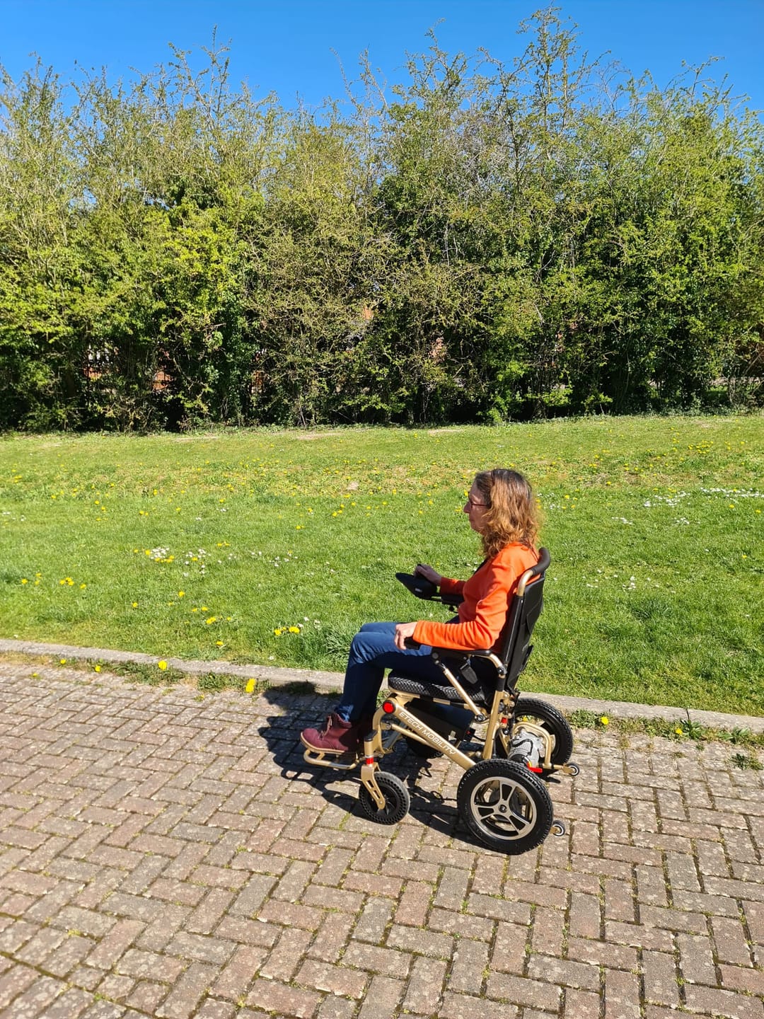 Customer photo review of Carer Control Accessory for Electric Wheelchairs