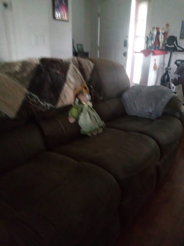 Customer photo review of Blisso Advanced Cat Probiotic