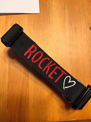 Customer photo review of 1.5" Tacti Slim Dog Collar- Black