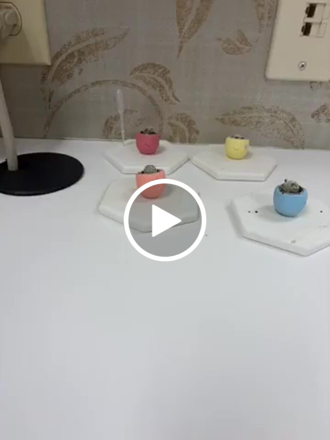Customer video review of LOL