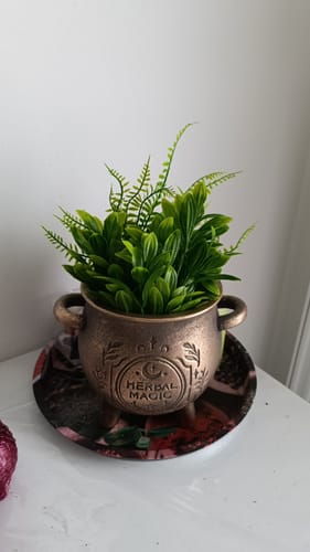 Ein Kundenrezensent zeigt den bronzefarbenen Herbal Magic Kessel-Blumentopf, der mit einer grünen Kunstpflanze bepflanzt ist.