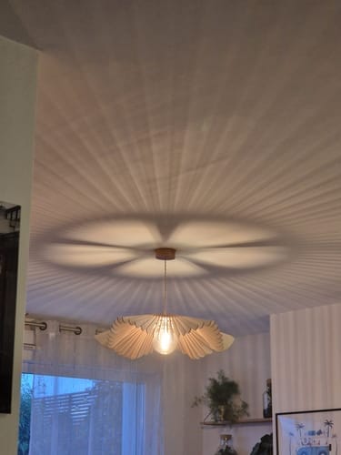 Customer photo review of Rose teinté Chêne | Suspension