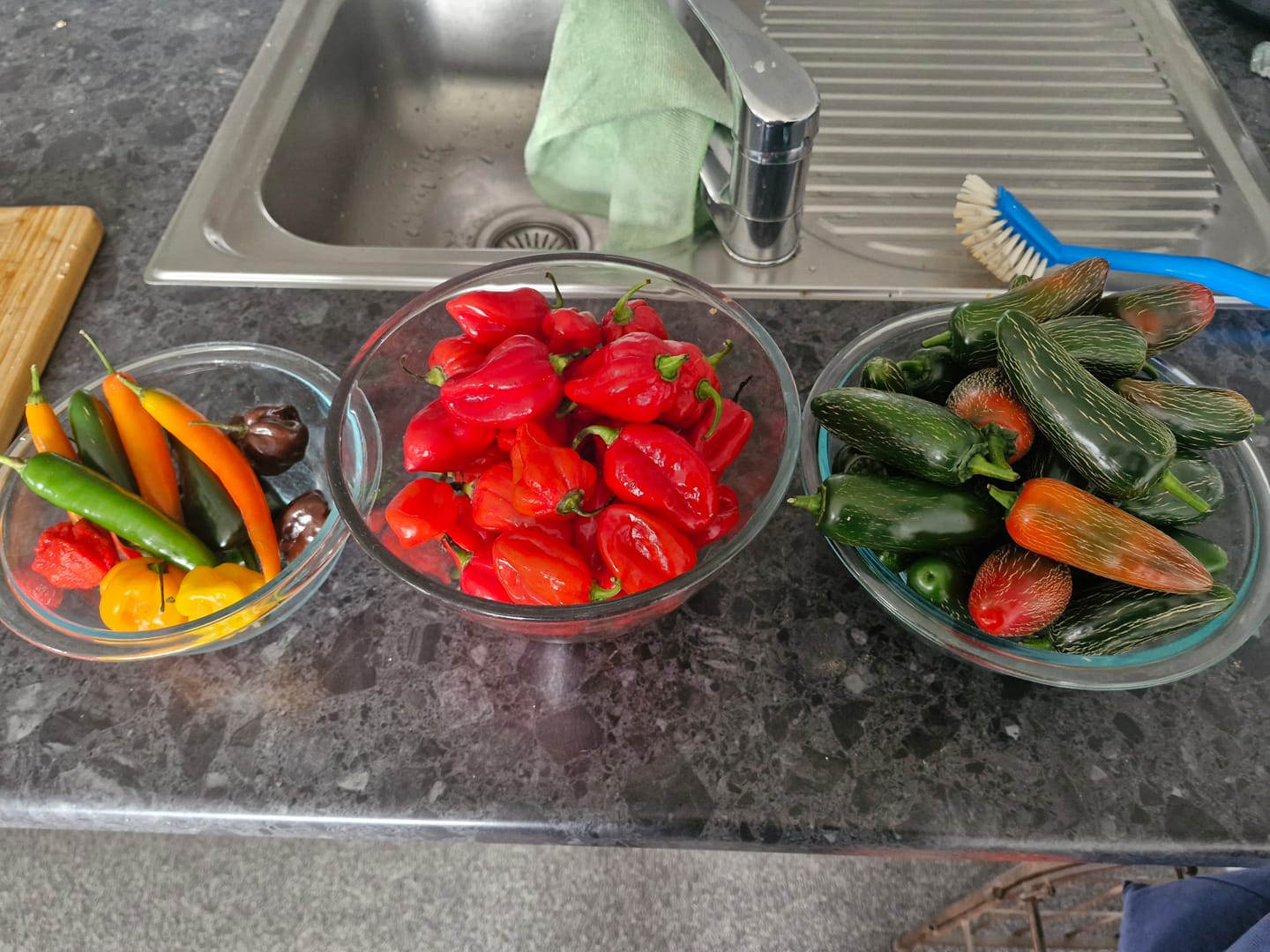 Customer photo review of Fresh Jalapeño Chillies – Hot