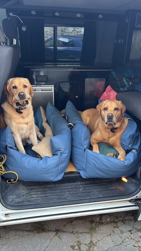 Customer photo review of The Dog Dock