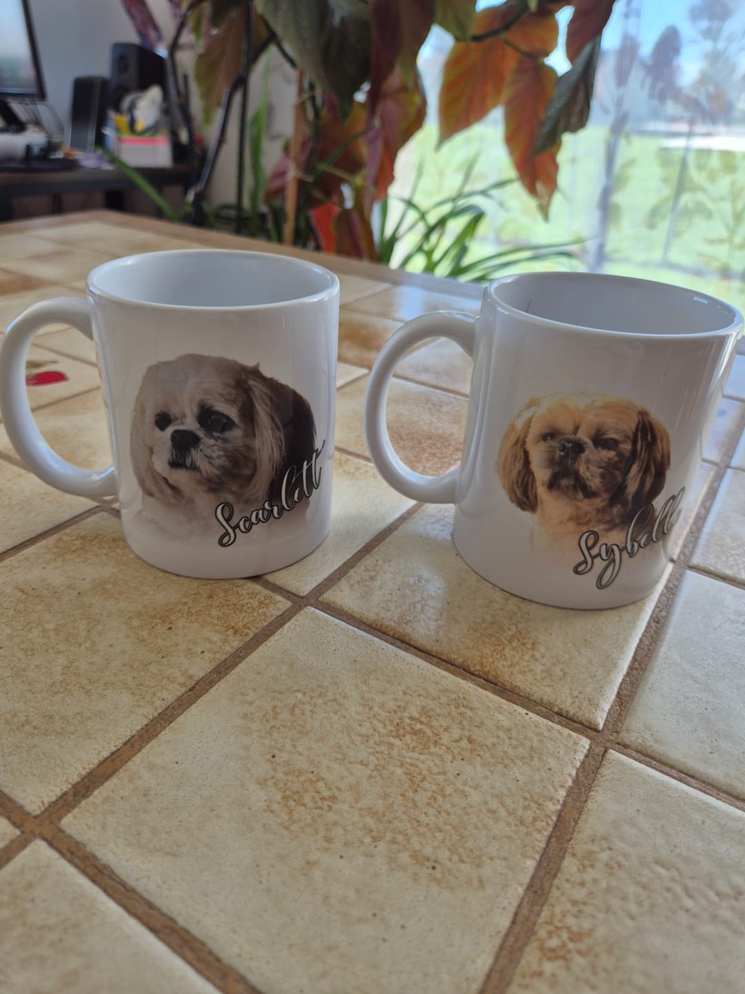 Customer photo review of Votre photo - Mug personnalisé