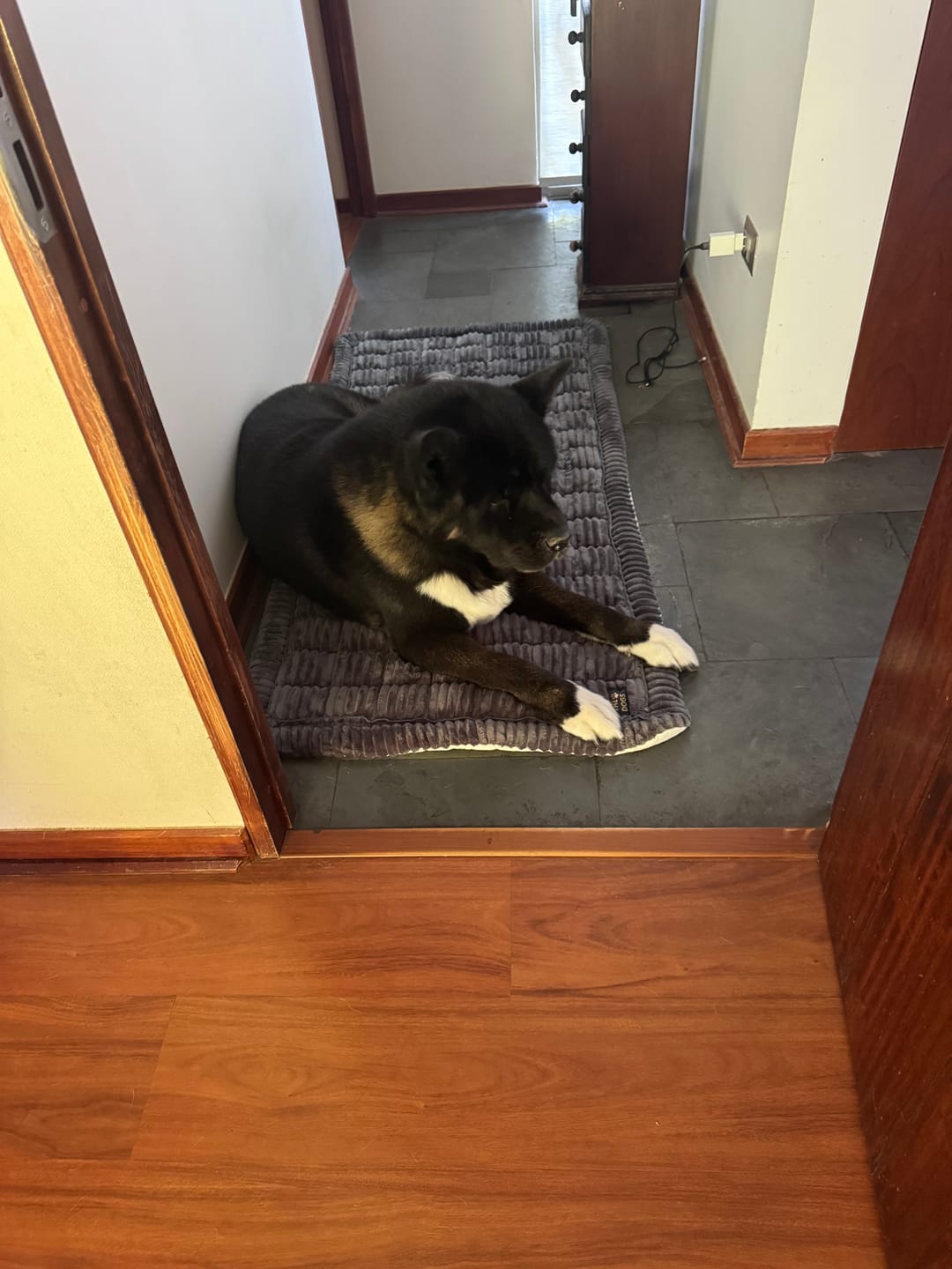 Customer photo review of Majestuoso · Protector Premium para Sofá