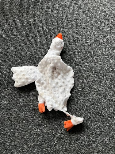 Anmelderens hvide Svanen Søren hundelegetøj, som er blevet tygget i og er fladt, ligger på et gråt tæppe.