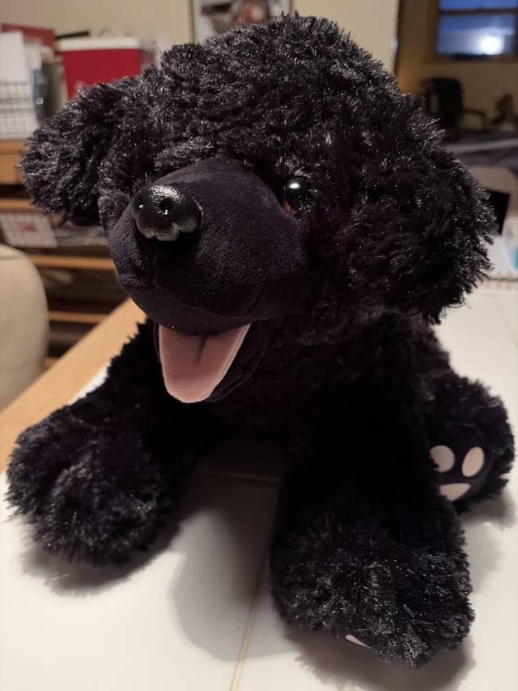 Customer photo review of Weighted Black Labrador Plush - 16" Calming Toy