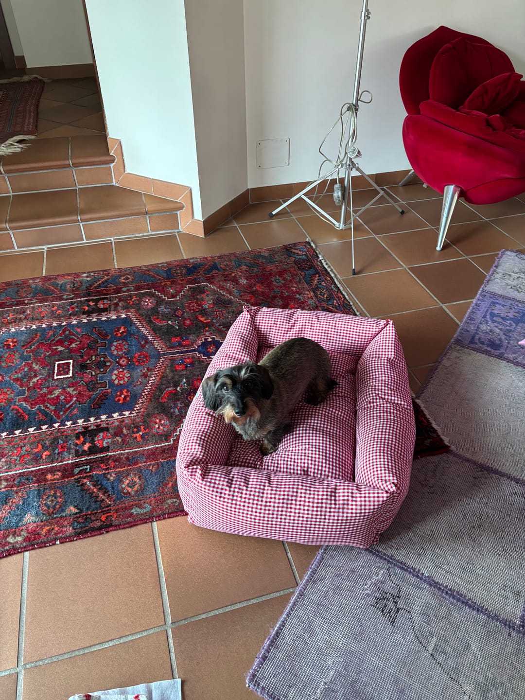 Customer photo review of Divanetto Cotone Vichy Rosso