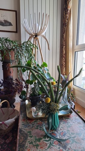 Customer photo review of Athéna teinté Chêne | Lampadaire