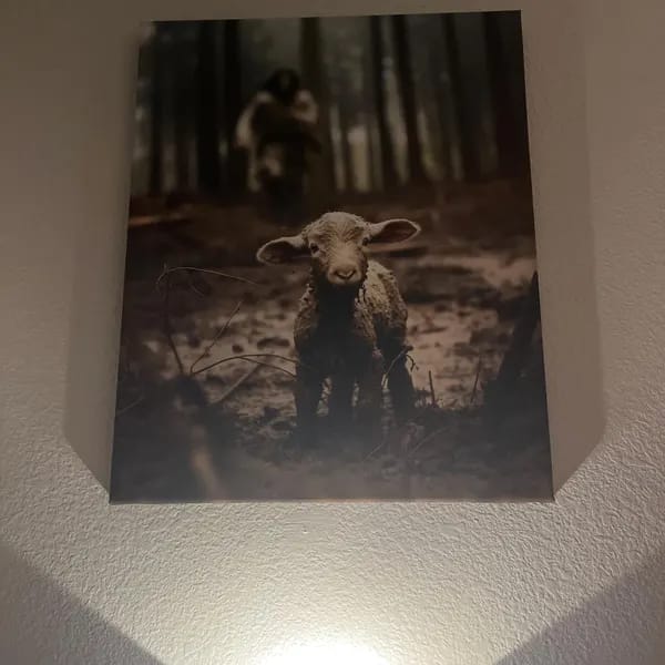 Customer photo review of Jesus Saving Lost Lamb Canvas, Christian Wall Art, Good Shepherd Faith Canvas Print