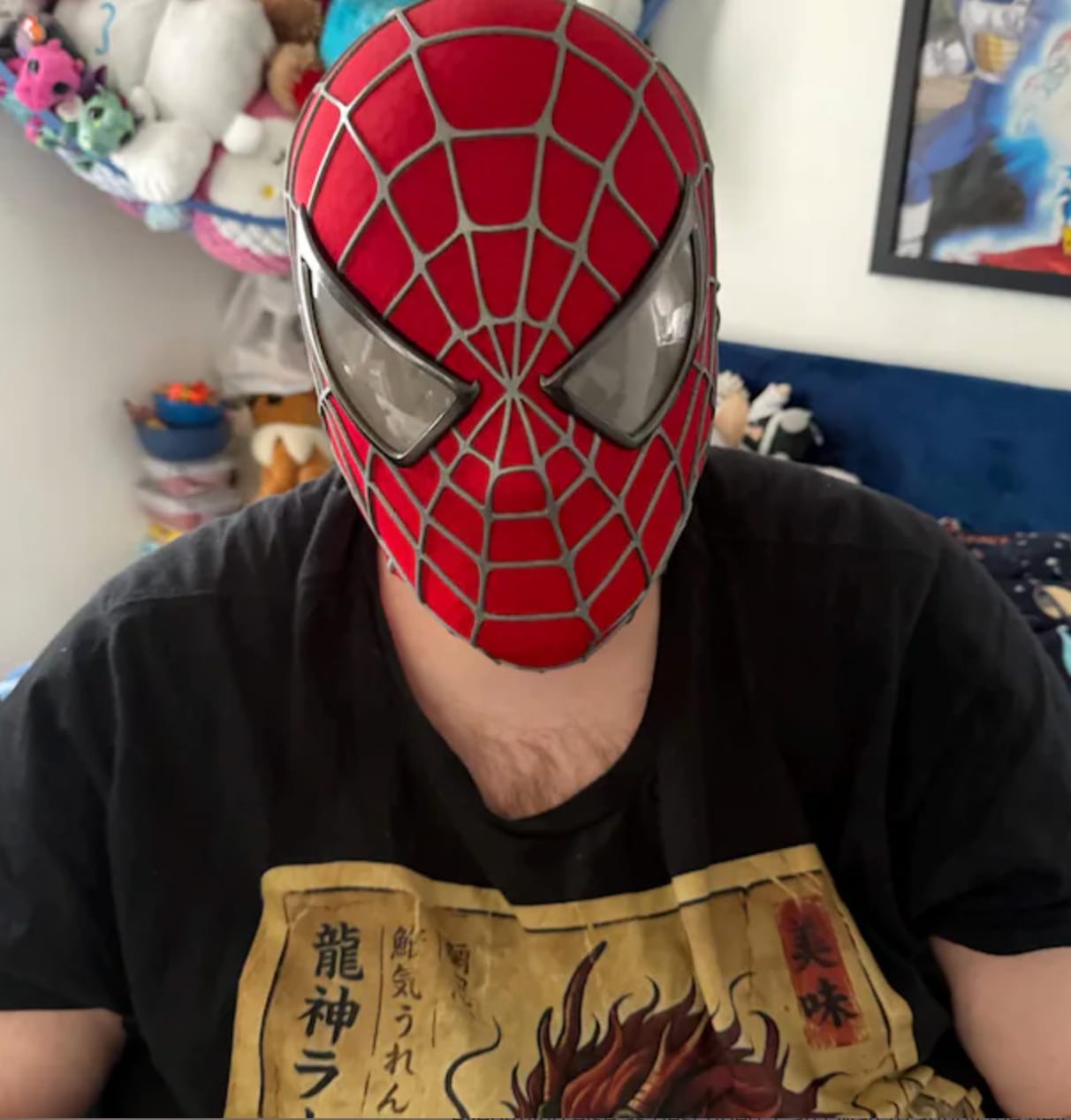 Customer photo review of Tobey Maguire Spider-Man Life Size Wearable Mask