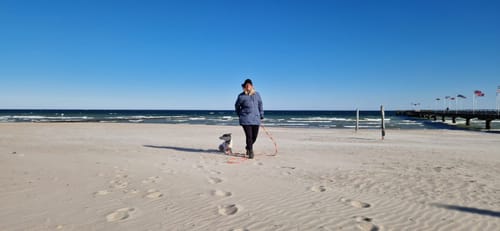Anmelder iført den blå Pack&Carry Skaljakke på en solrig strand med sin hund.