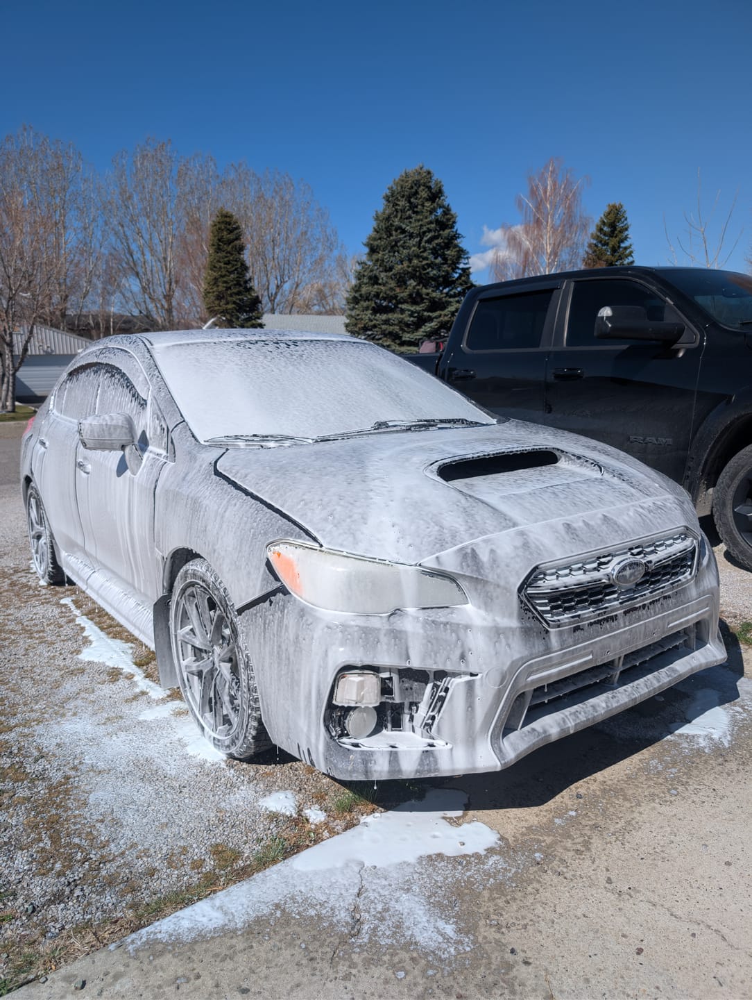 Customer photo review of Ripclean™ Snow Foam Cannon 3.0