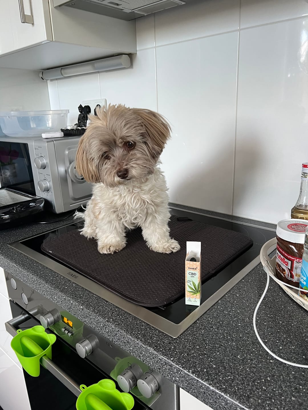 Customer photo review of 10% CBD Tropfen für Hunde