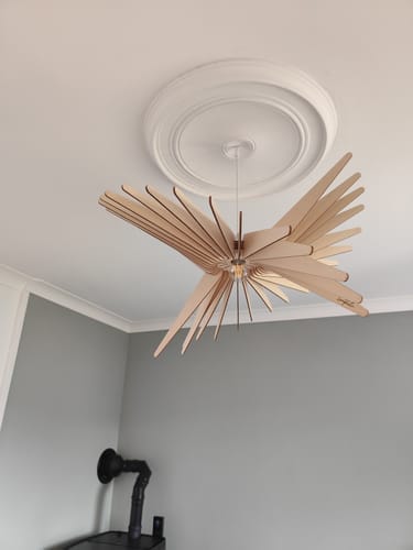 Customer photo review of Ambre teinté Chêne | Suspension