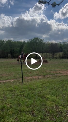 Customer video review of OptiWize Collagen +Plus Horse Joint Supplement