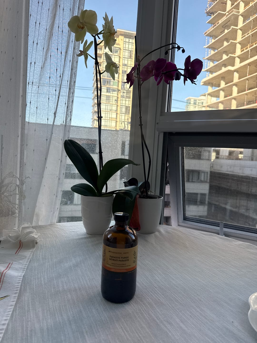 Customer photo review of Parasite Purge Tincture