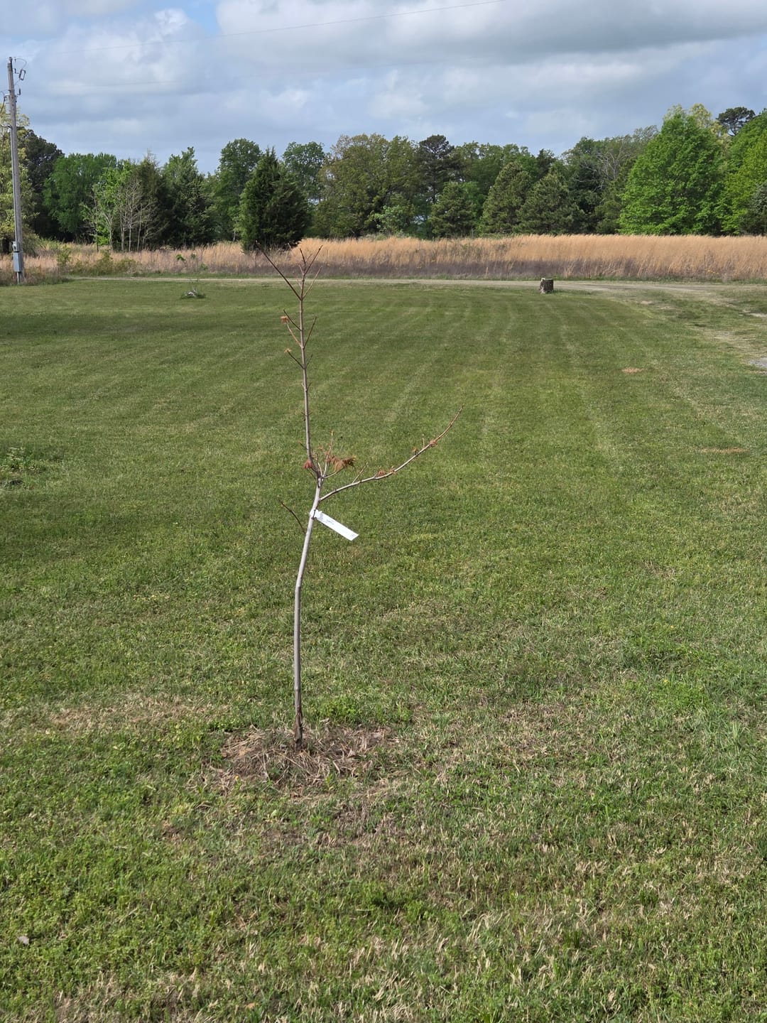 Customer photo review of REVO6 2.0 - Rural Rancher Package (3-Pack)