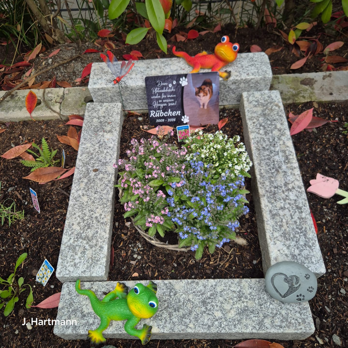 Customer photo review of Katzen Gedenktafel mit Foto & Spruch (UV- & Wetterfest)