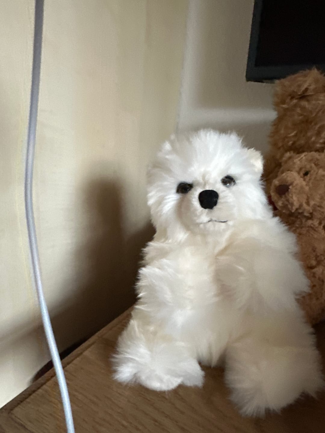 Customer photo review of Ma peluche Ours Jules