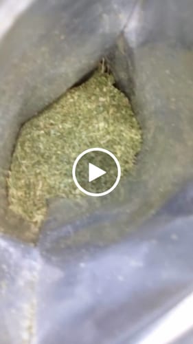 Customer video review of Orange 43 Shake (BOGO)
